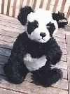 2003 Panda